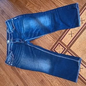 Women's Silver Capris 22